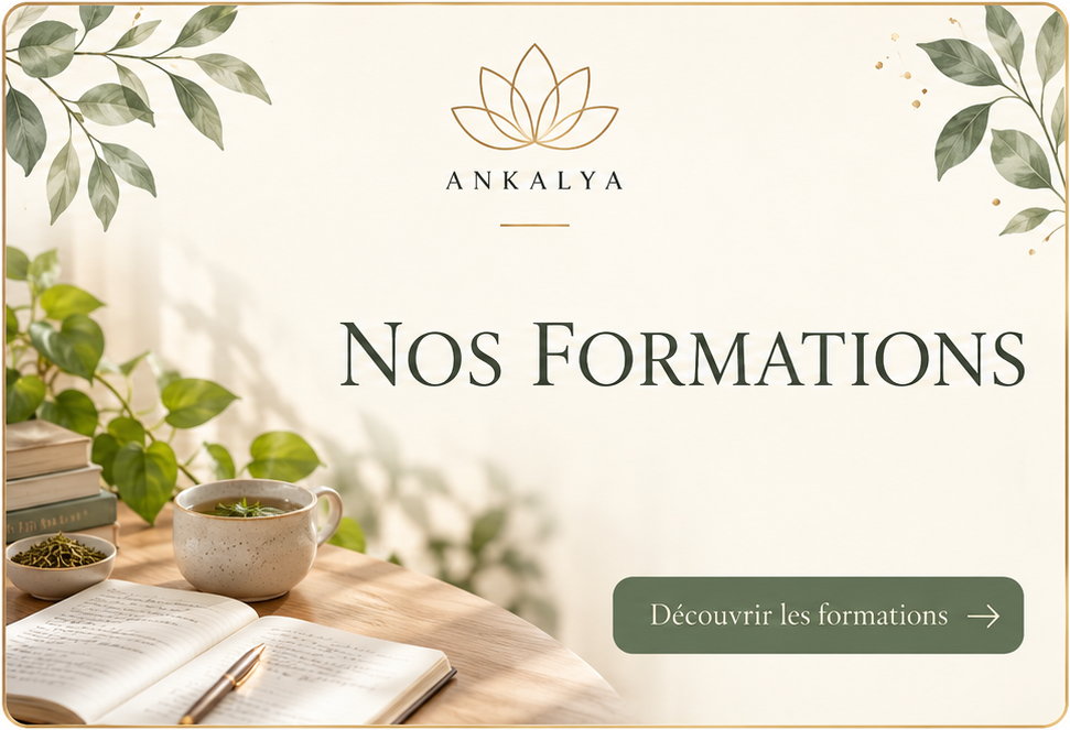 Découvrir les formations ANKALYA